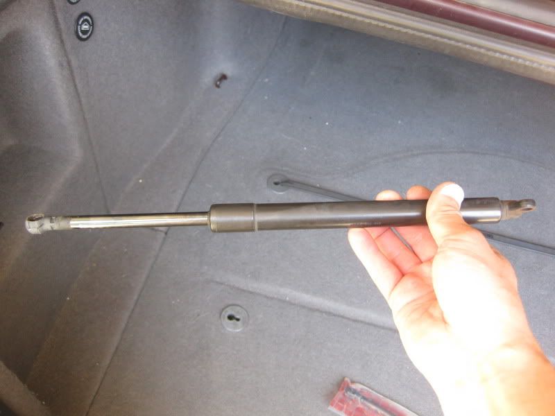 Trunk Strut Replacement